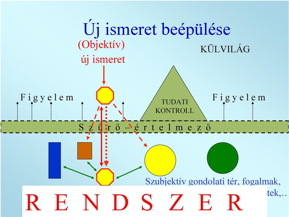 e z ő F i g y e l e m Szubjektív gondolati tér,