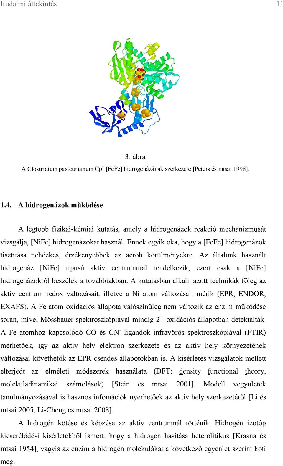 Ennek egyik oka, hogy a [FeFe] hidrogenázok tisztítása nehézkes, érzékenyebbek az aerob körülményekre.