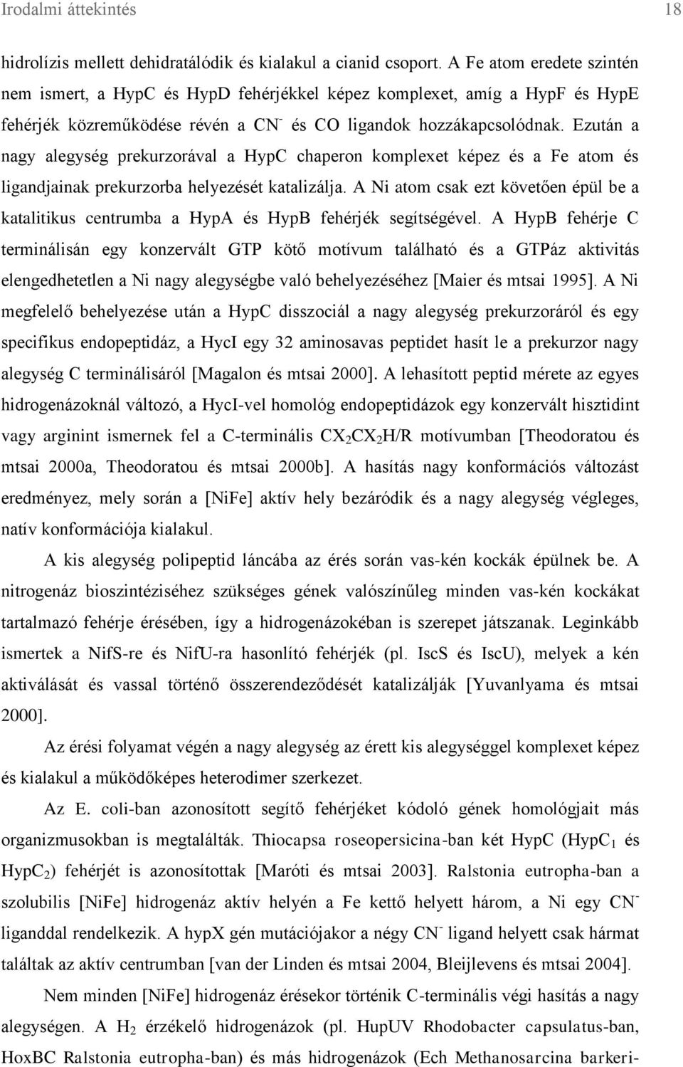 Ezután a nagy alegység prekurzorával a HypC chaperon komplexet képez és a Fe atom és ligandjainak prekurzorba helyezését katalizálja.