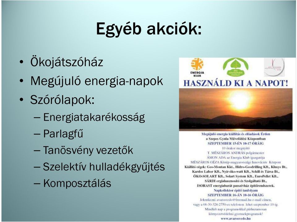 Energiatakarékosság Parlagfű