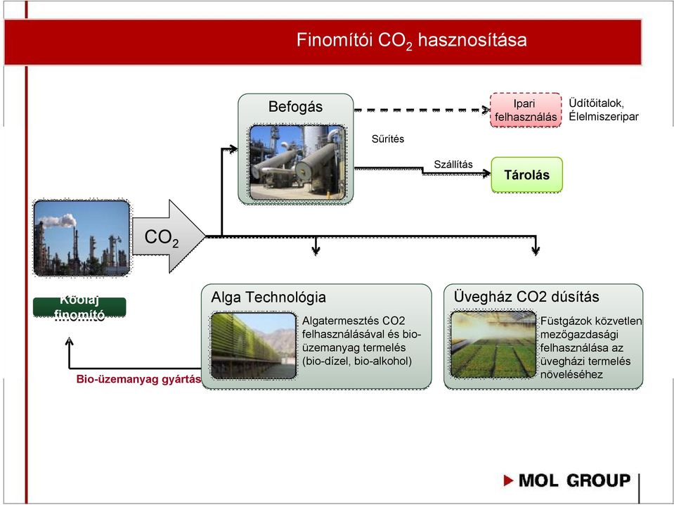 Algatermesztés CO2 felhasználásával és bioüzemanyag termelés (bio-dízel, bio-alkohol)
