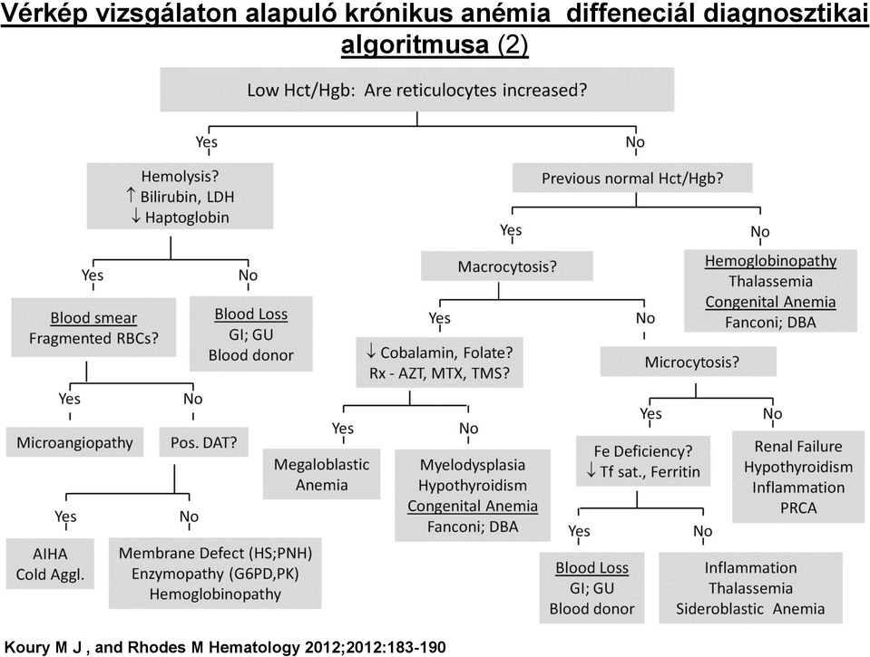 diagnosztikai algoritmusa (2)