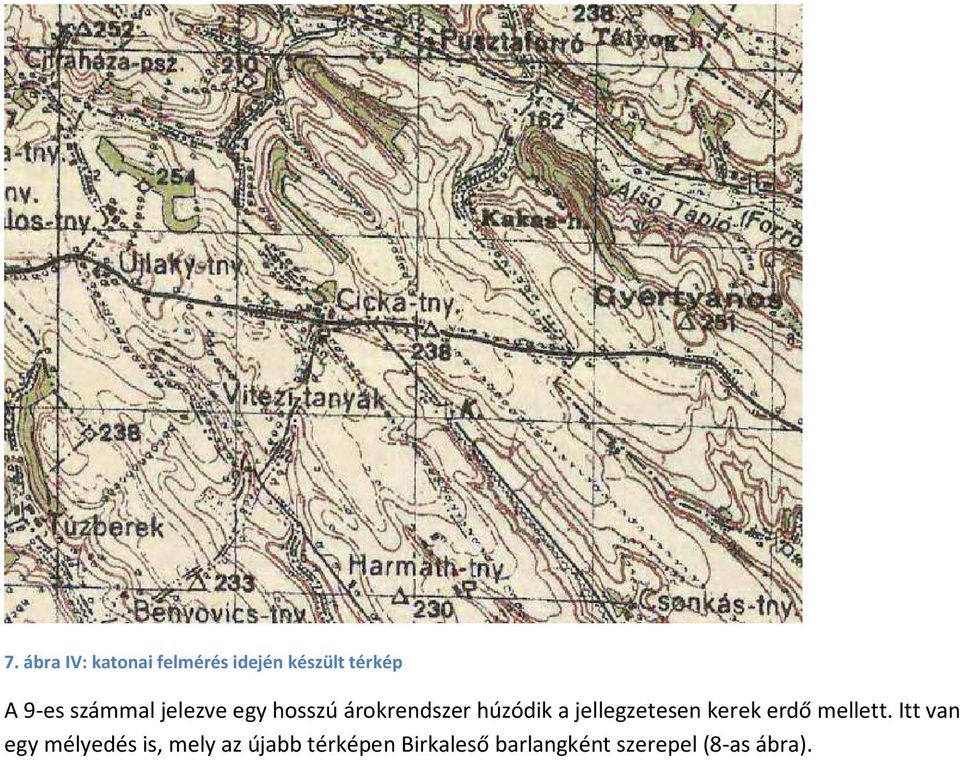 jellegzetesen kerek erdő mellett.