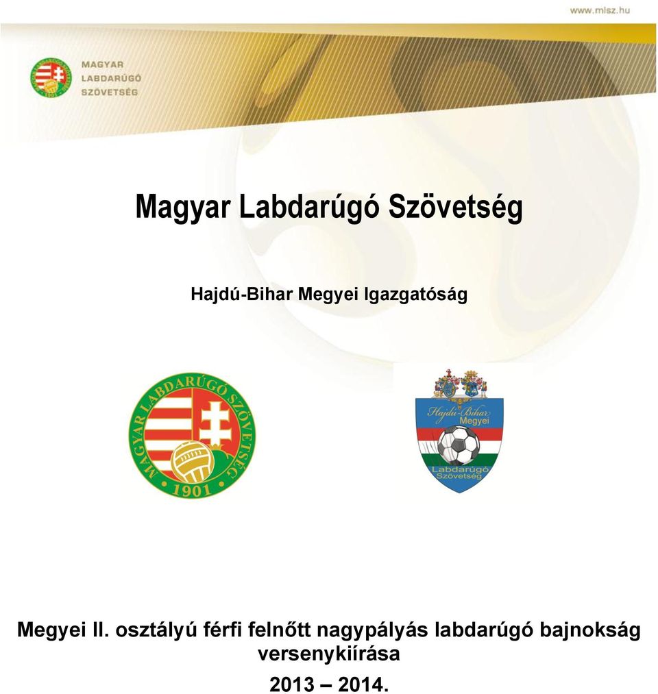 Megyei ú férfi felnőtt nagypályás