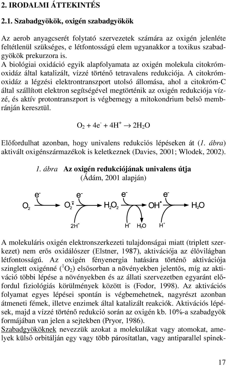 A biológiai oxidáció egyik alapfolyamata az oxigén molekula citokrómoxidáz iowdo NDWDOL]iOW Yt]]p W UWpQ tetravalens redukciója.