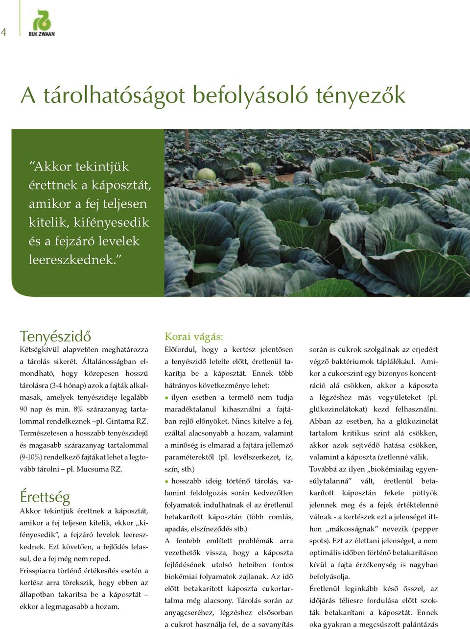 Általánosságban elmondható, hogy közepesen hosszú tárolásra (3-4 hónap) azok a fajták alkalmasak, amelyek tenyészideje legalább 90 nap és min. 8% szárazanyag tartalommal rendelkeznek pl. Gintama RZ.