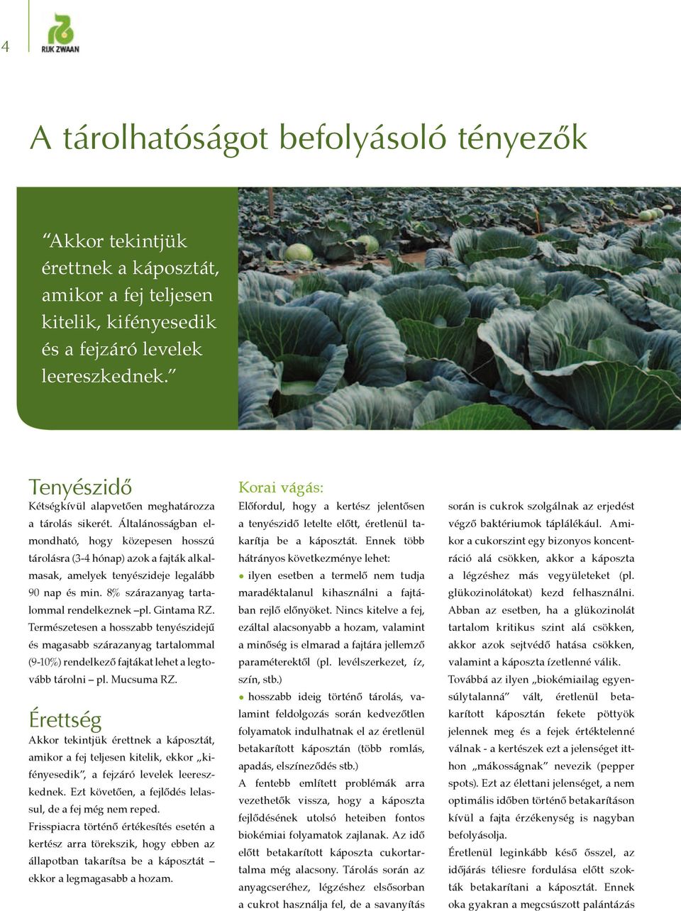 Általánosságban elmondható, hogy közepesen hosszú tárolásra (3-4 hónap) azok a fajták alkalmasak, amelyek tenyészideje legalább 90 nap és min. 8% szárazanyag tartalommal rendelkeznek pl. Gintama RZ.