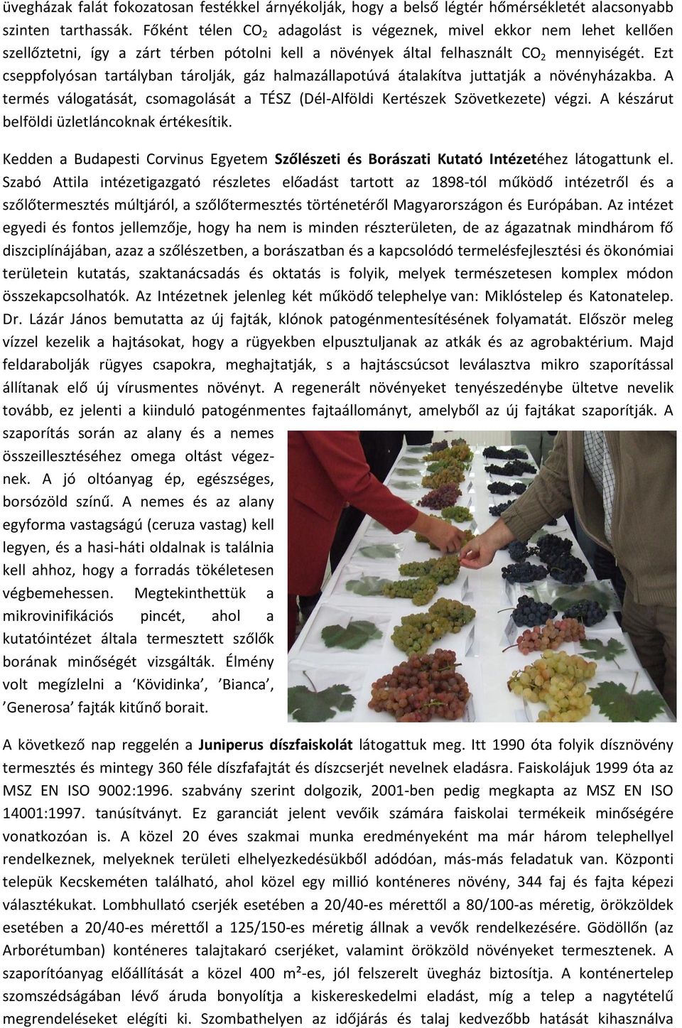 Ezt cseppfolyósan tartályban tárolják, gáz halmazállapotúvá átalakítva juttatják a növényházakba. A termés válogatását, csomagolását a TÉSZ (Dél-Alföldi Kertészek Szövetkezete) végzi.