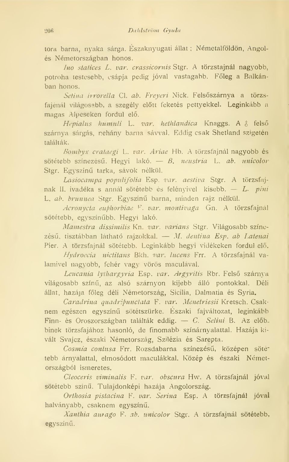 Felsszárnya a törzsfajenal világosabb, a szegély eltt feketés pettyekkel. Leginkább a magas AJpeseken fordul el. Hepialus humuli L. var. hethlandica Knaggs.