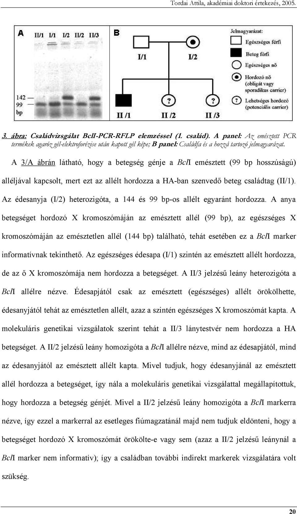 Az édesanyja (I/2) heterozigóta, a 144 és 99 bp-os allélt egyaránt hordozza.