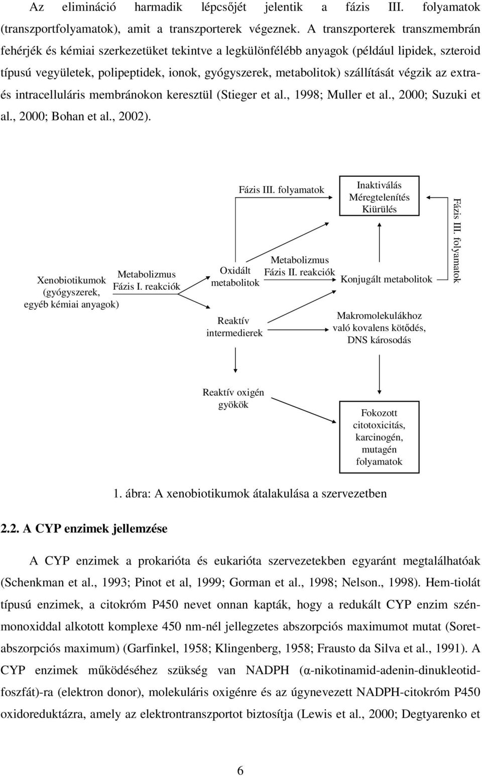 szállítását végzik az extraés intracelluláris membránokon keresztül (Stieger et al., 1998; Muller et al., 2000; Suzuki et al., 2000; Bohan et al., 2002). Metabolizmus Xenobiotikumok Fázis I.