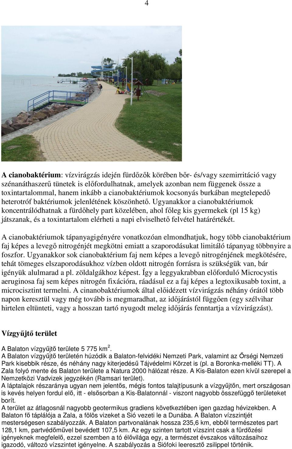 Ugyanakkor a cianobaktériumok koncentrálódhatnak a fürdıhely part közelében, ahol fıleg kis gyermekek (pl 15 kg) játszanak, és a toxintartalom elérheti a napi elviselhetı felvétel határértékét.