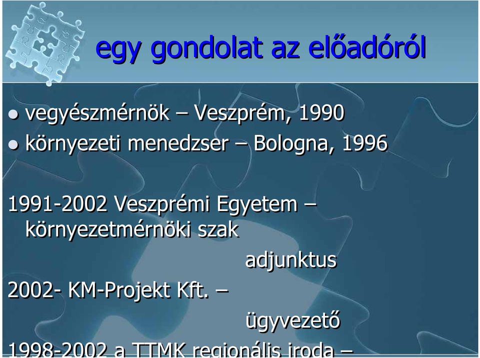 Veszprémi Egyetem környezetmérnöki szak adjunktus