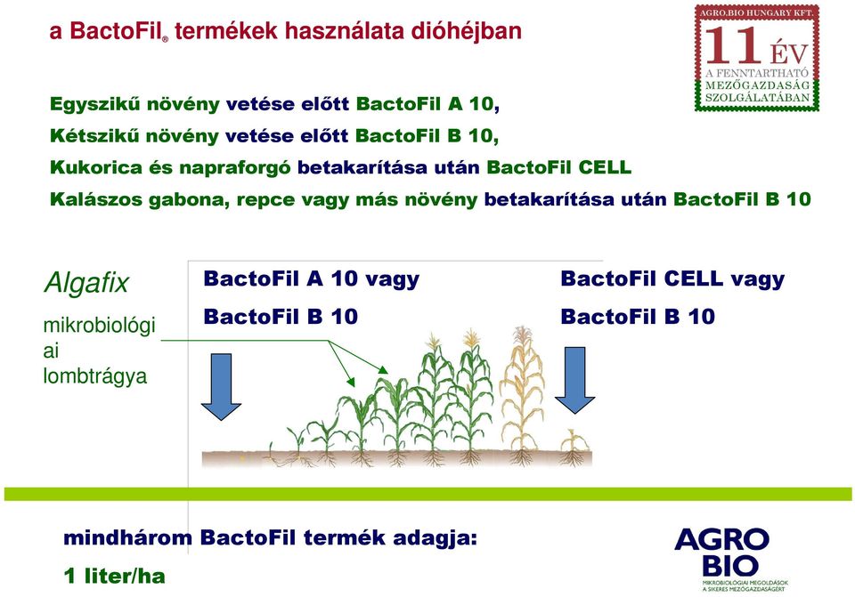 gabona, repce vagy más növény betakarítása után BactoFil B 10 Algafix mikrobiológi ai lombtrágya