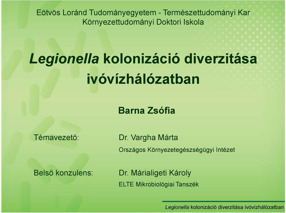 ivóvízhálózatban Barna Zsófia Témavezetı: Dr.