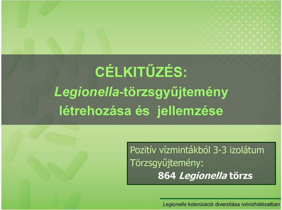 létrehozása és jellemzése Pozitív