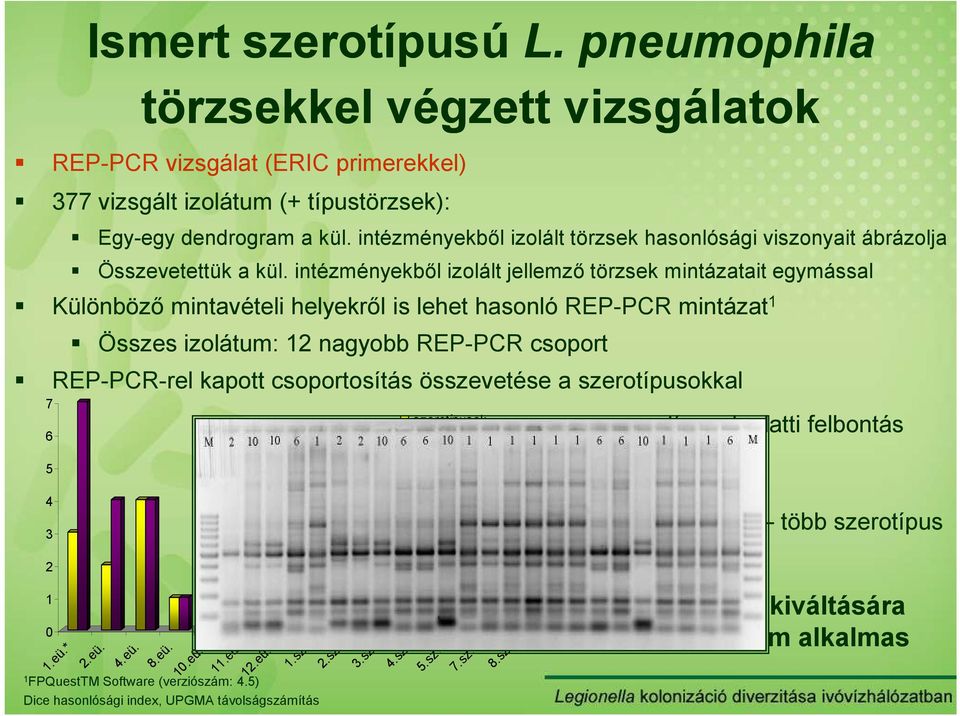 intézményekbıl izolált jellemzı törzsek mintázatait egymással Különbözı mintavételi helyekrıl is lehet hasonló REP-PCR mintázat 1 Összes izolátum: 12 nagyobb REP-PCR csoport REP-PCR-rel kapott