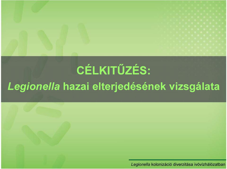hazai