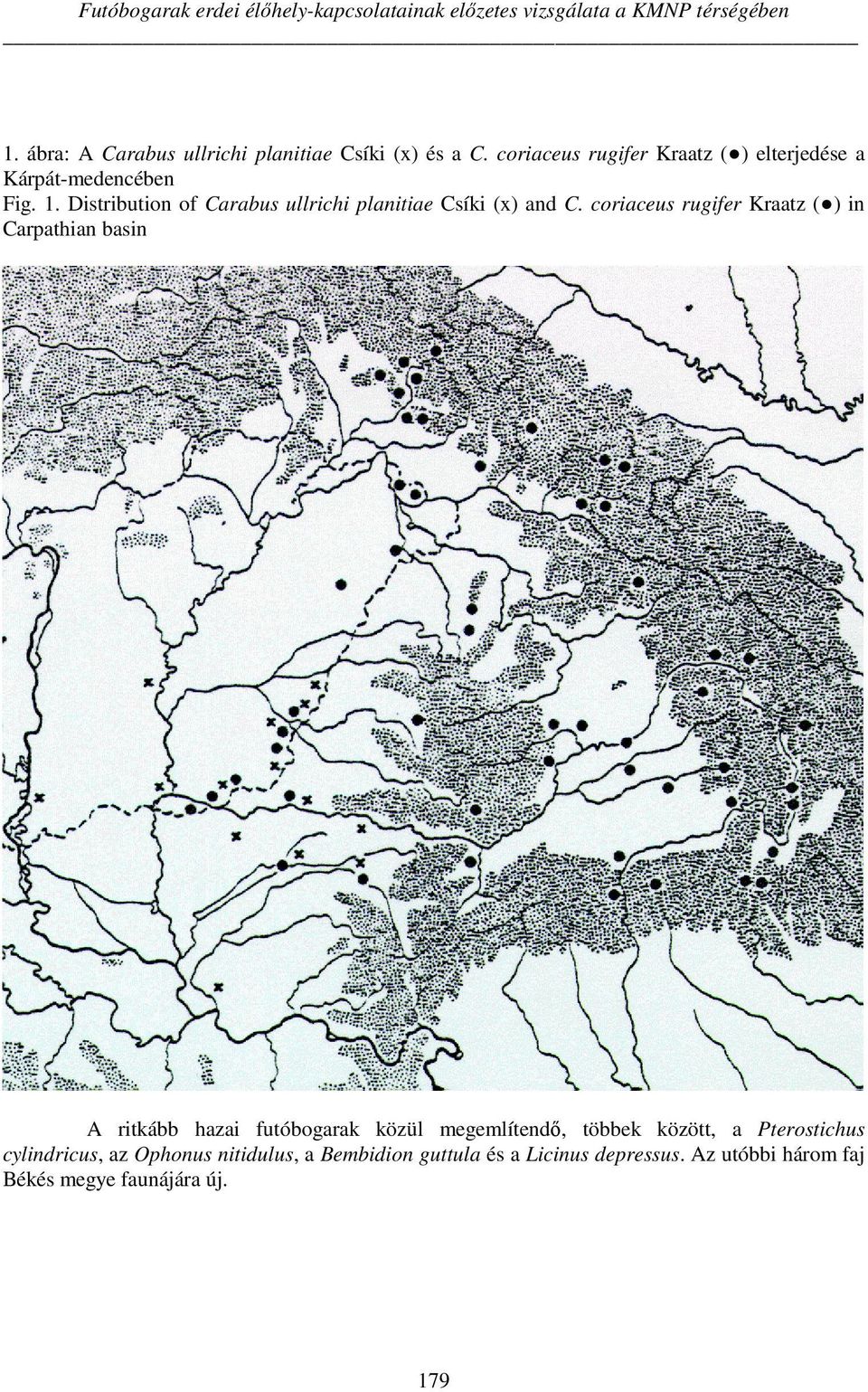 Distribution of Carabus ullrichi planitiae Csíki (x) and C.