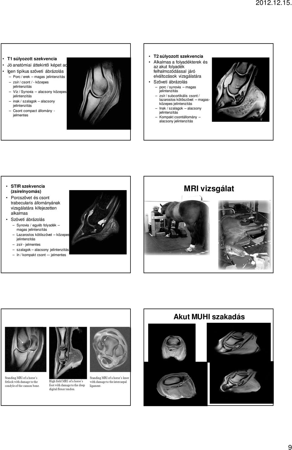 vizsgálatára Szöveti ábrázolás porc / synovia magas jelintenzitás zsír / subcortikális csont / lazarostos kötıszövet magasközepes jelintenzitás Inak / szalagok alacsony jelintenzitás Kompakt