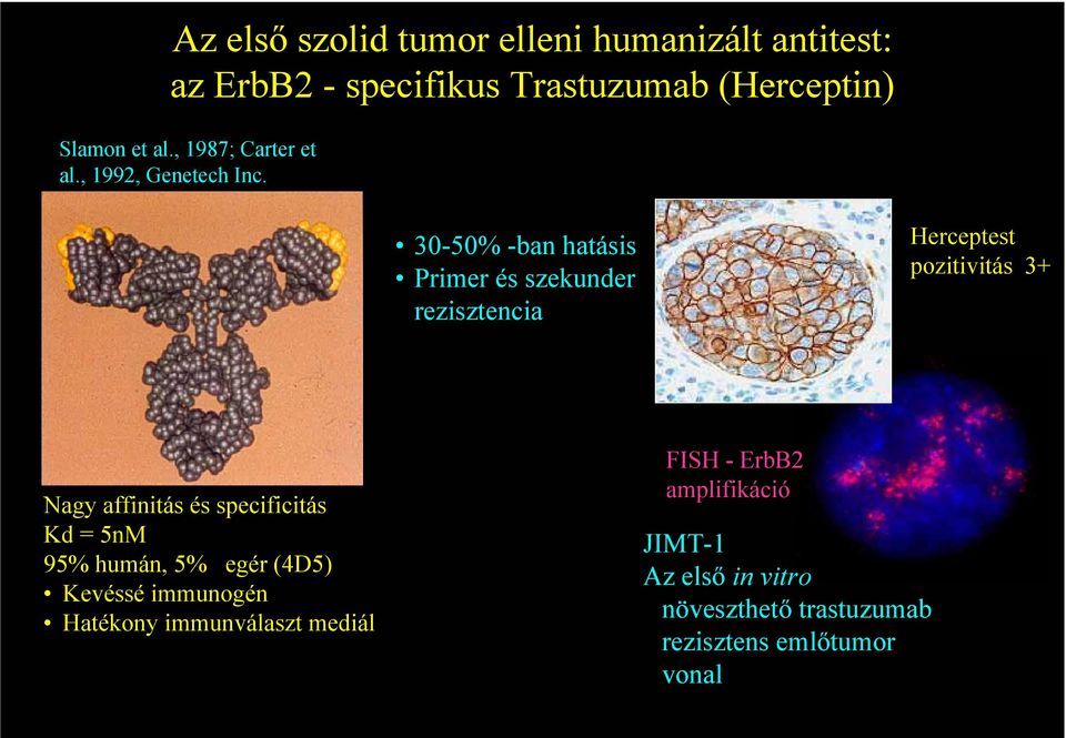 30-50% -ban hatásis Primer és szekunder rezisztencia Herceptest pozitivitás 3+ Nagy affinitás és specificitás