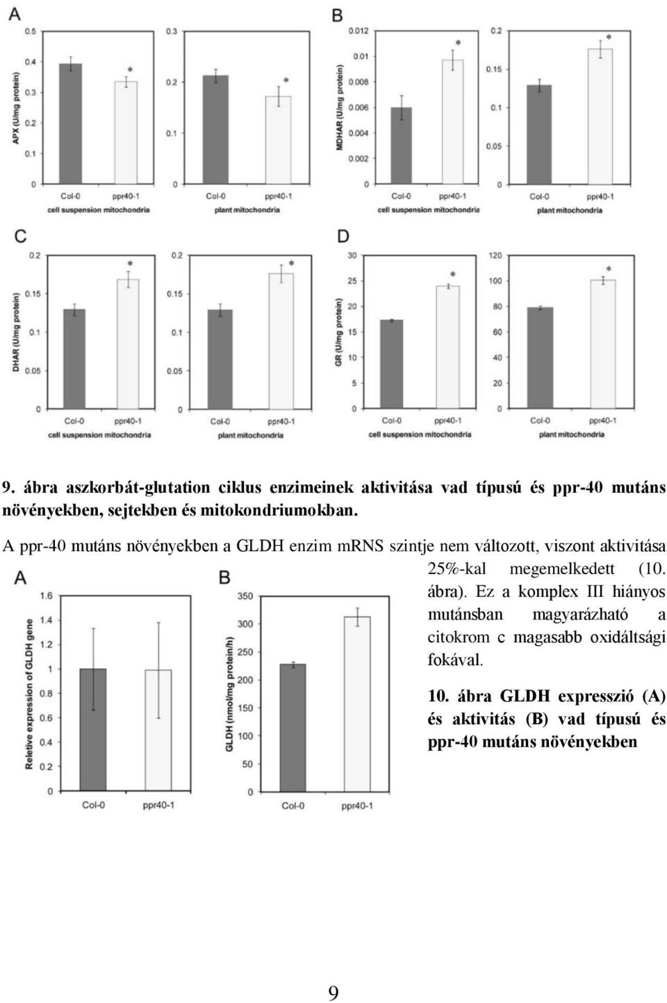 A ppr-40 mutáns növényekben a GLDH enzim mrns szintje nem változott, viszont aktivitása 25%-kal