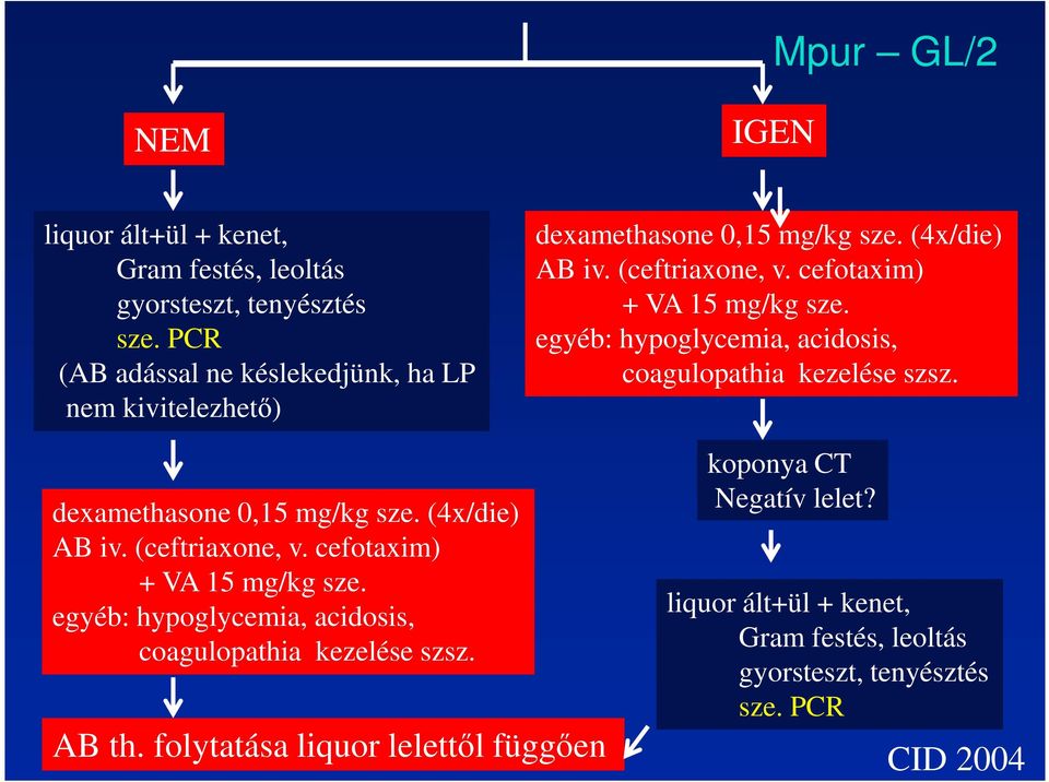 egyéb: hypoglycemia, acidosis, coagulopathia kezelése szsz. dexamethasone 0,15 mg/kg sze. (4x/die) AB iv. (ceftriaxone, v. cefotaxim) + VA 15 mg/kg sze.