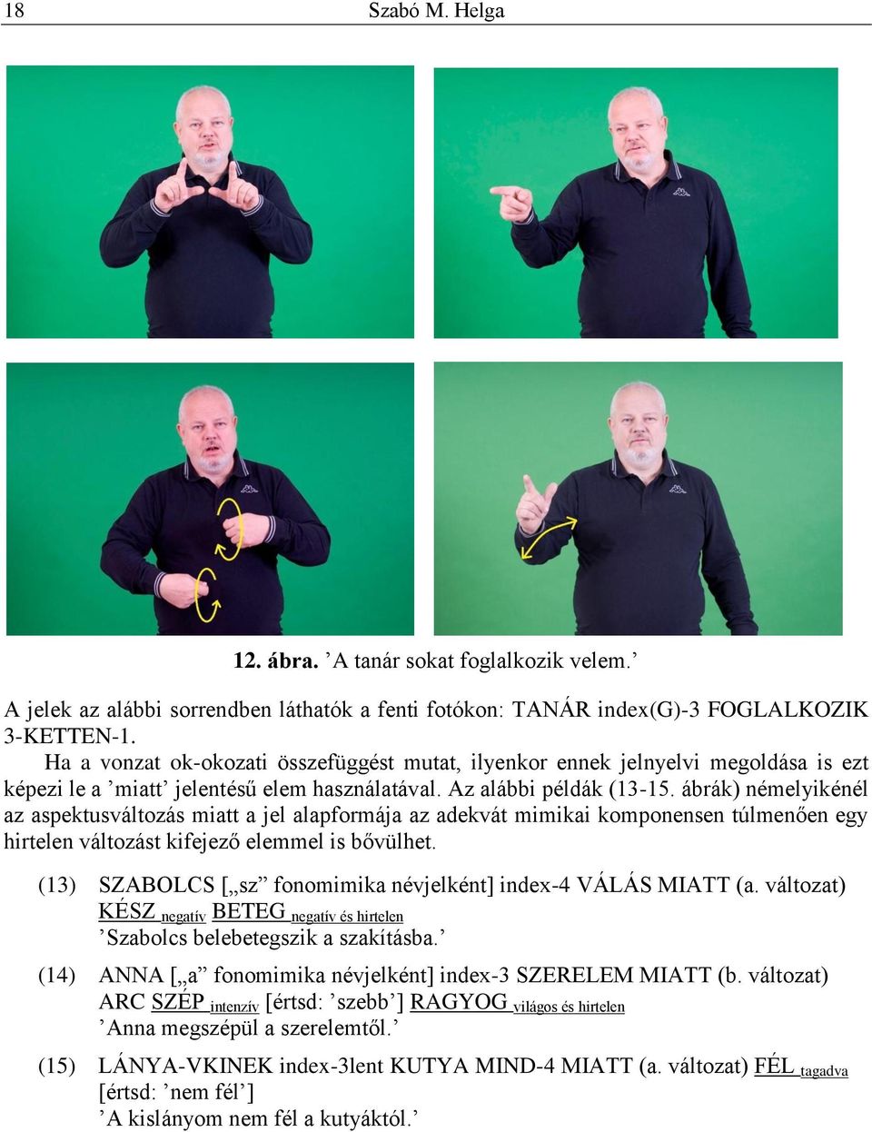 ábrák) némelyikénél az aspektusváltozás miatt a jel alapformája az adekvát mimikai komponensen túlmenően egy hirtelen változást kifejező elemmel is bővülhet.