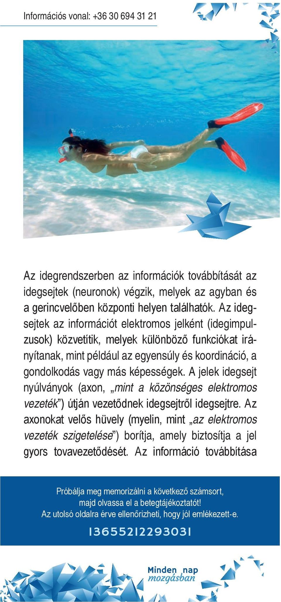 A jelek idegsejt nyúlványok (axon, mint a közönséges elektromos vezeték ) útján vezetődnek idegsejtről idegsejtre.