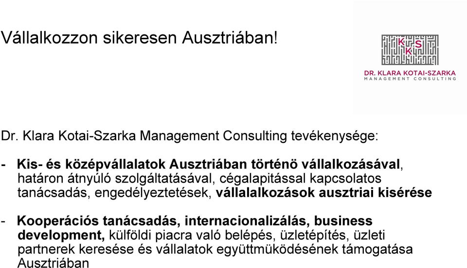 vállalalkozások ausztriai kisérése - Kooperációs tanácsadás, internacionalizálás, business development,