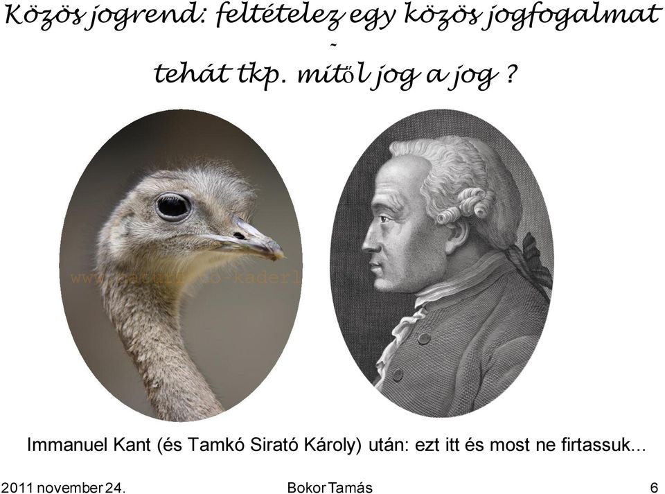 Immanuel Kant (és Tamkó Sirató Károly) után: