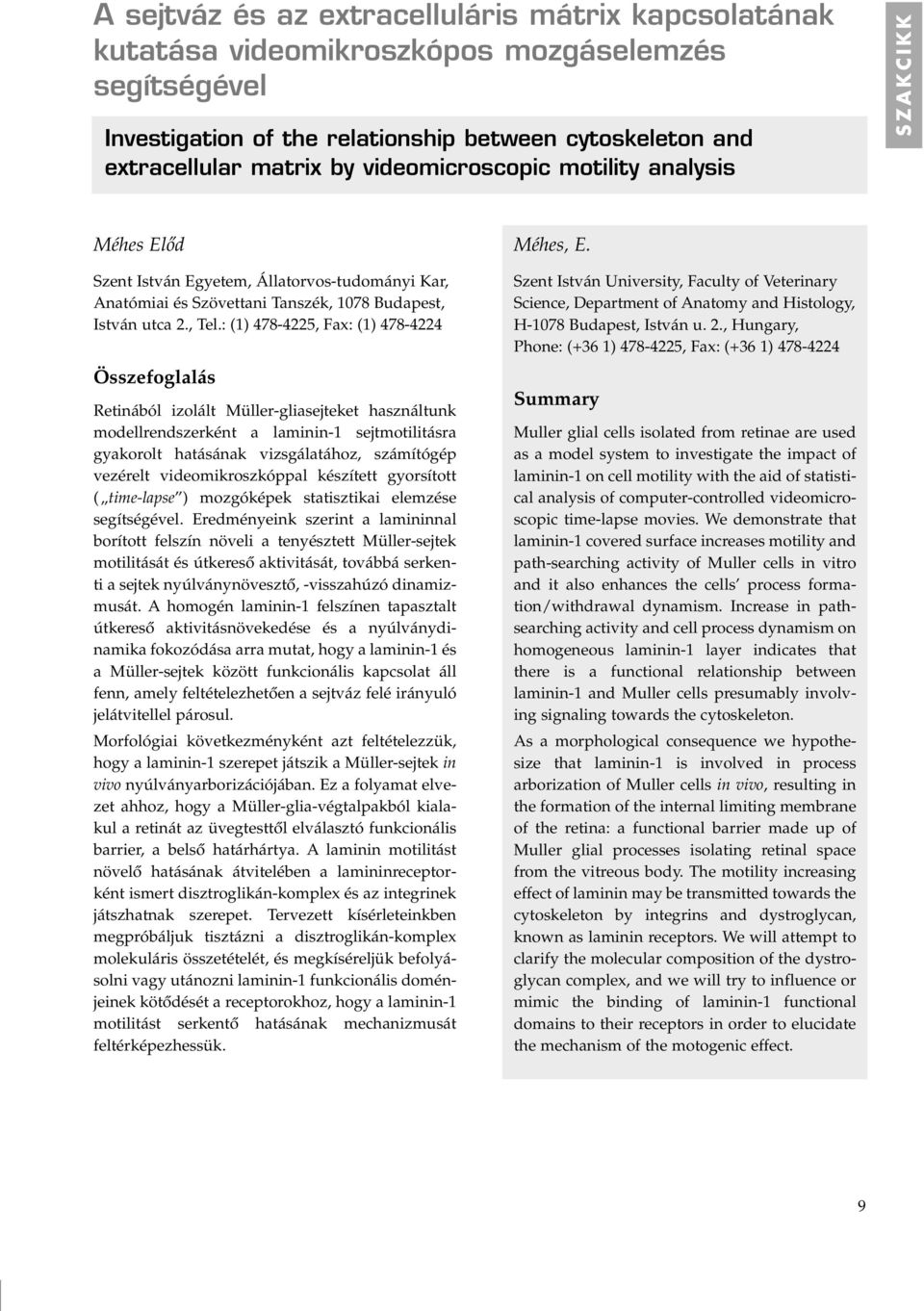 : (1) 478-4225, Fax: (1) 478-4224 Összefoglalás Retinából izolált Müller-gliasejteket használtunk modellrendszerként a laminin-1 sejtmotilitásra gyakorolt hatásának vizsgálatához, számítógép vezérelt