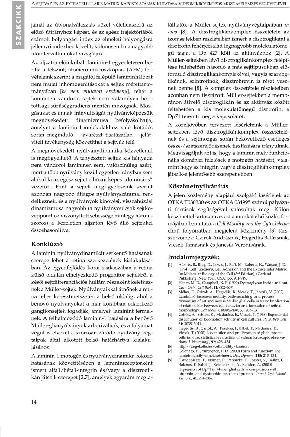 Az aljzatra elôinkubált laminin-1 egyenletesen borítja a felszínt; atomerô-mikroszkópiás (AFM) felvételeink szerint a magától felépülô lamininhálózat nem mutat inhomogenitásokat a sejtek