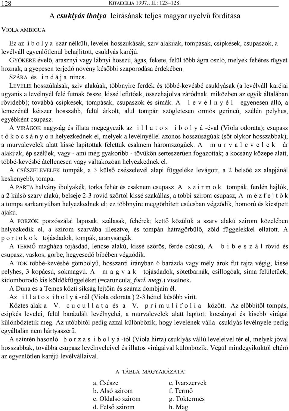 behajlított, csuklyás karéjú. GYÖKERE évelõ, arasznyi vagy lábnyi hosszú, ágas, fekete, felül több ágra oszló, melyek fehéres rügyet hoznak, a gyepesen terjedõ növény késõbbi szaporodása érdekében.