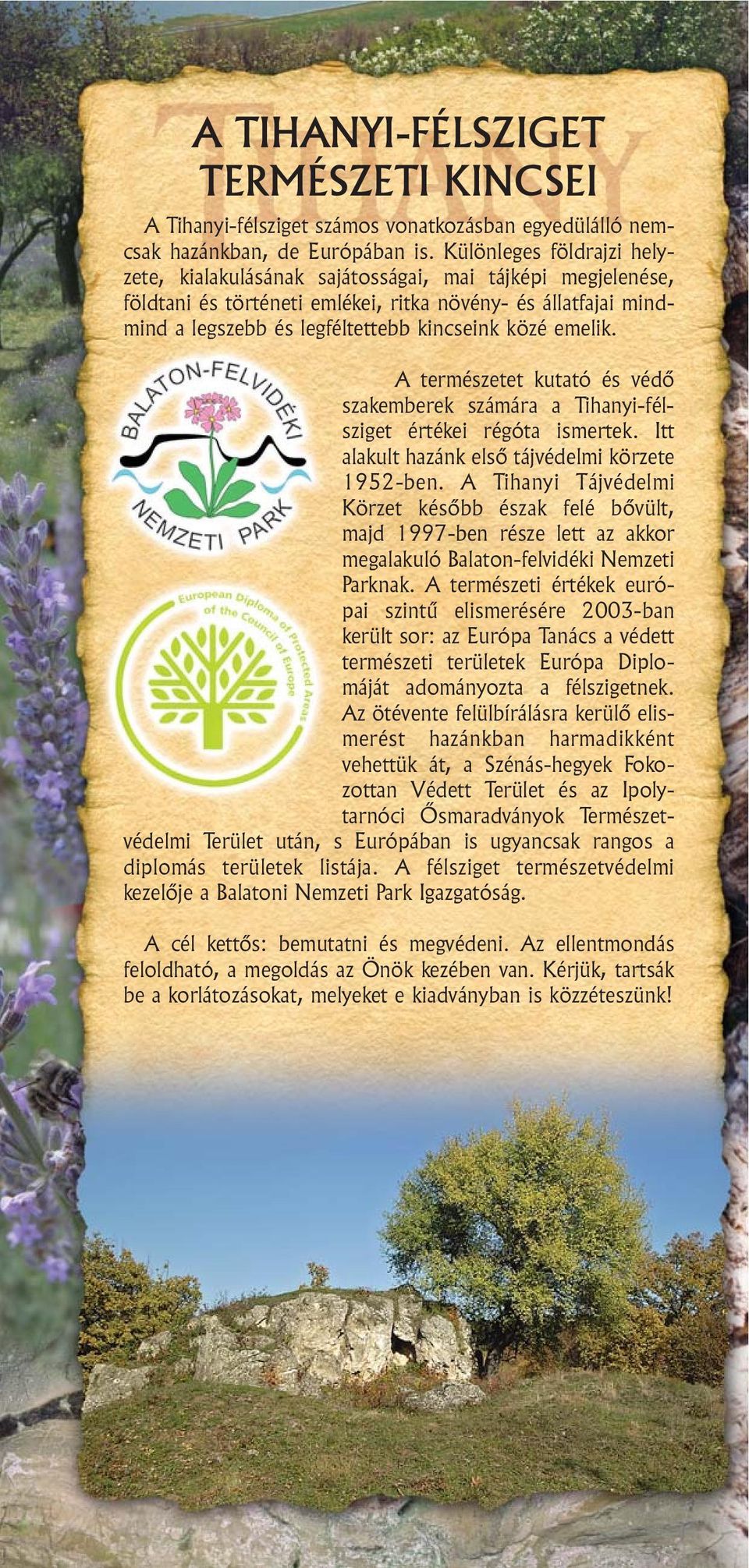 emelik. A természetet kutató és védõ szakemberek számára a Tihanyi-félsziget értékei régóta ismertek. Itt alakult hazánk elsõ tájvédelmi körzete 1952-ben.