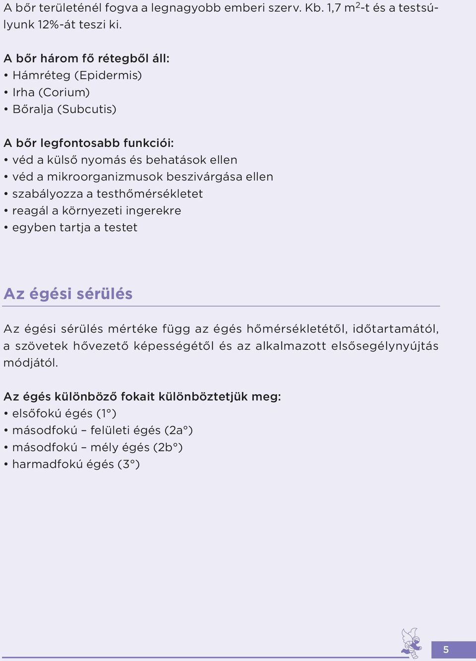mikroorganizmusok beszivárgása ellen szabályozza a testhőmérsékletet reagál a környezeti ingerekre egyben tartja a testet Az égési sérülés Az égési sérülés mértéke függ az