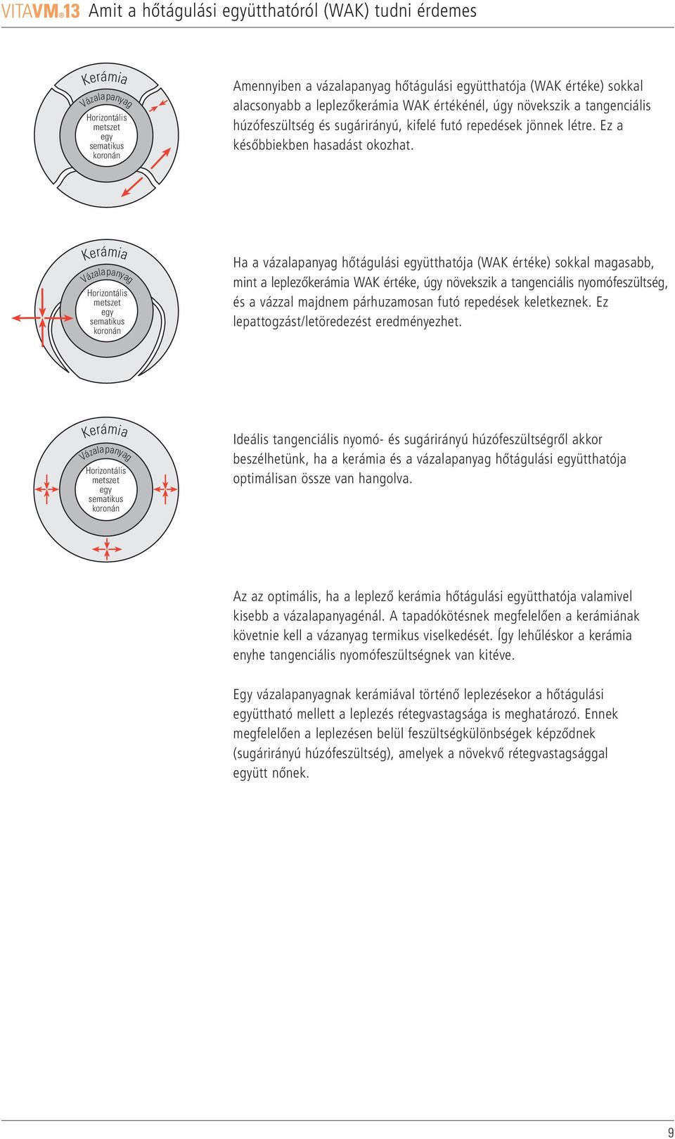 Kerámia Vázalapanyag Horizontális metszet egy sematikus koronán Ha a vázalapanyag hőtágulási együtthatója (WAK értéke) sokkal magasabb, mint a leplezőkerámia WAK értéke, úgy növekszik a tangenciális