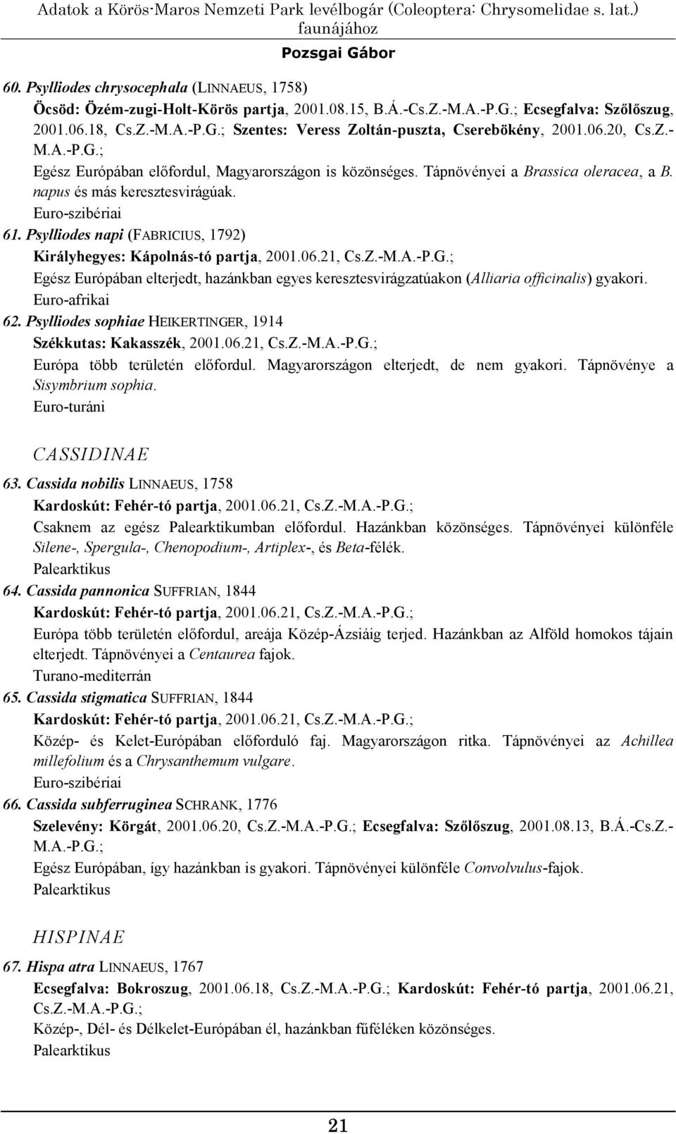 Tápnövényei a Brassica oleracea, a B. napus és más keresztesvirágúak. 61. Psylliodes napi (FABRICIUS, 1792) Királyhegyes: Kápolnás-tó partja, 2001.06.21, Cs.Z.-M.A.-P.G.