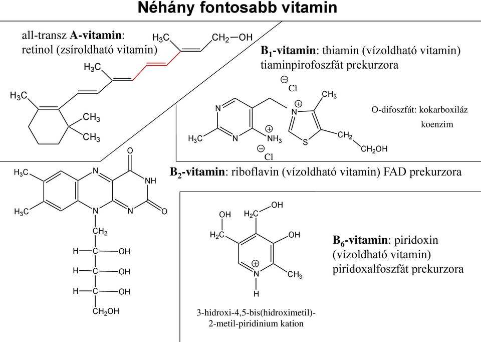 2 l B 2 -vitamin: riboflavin (vízoldható vitamin) FAD prekurzora 3 2 2 2 3 B 6 -vitamin: piridoxin