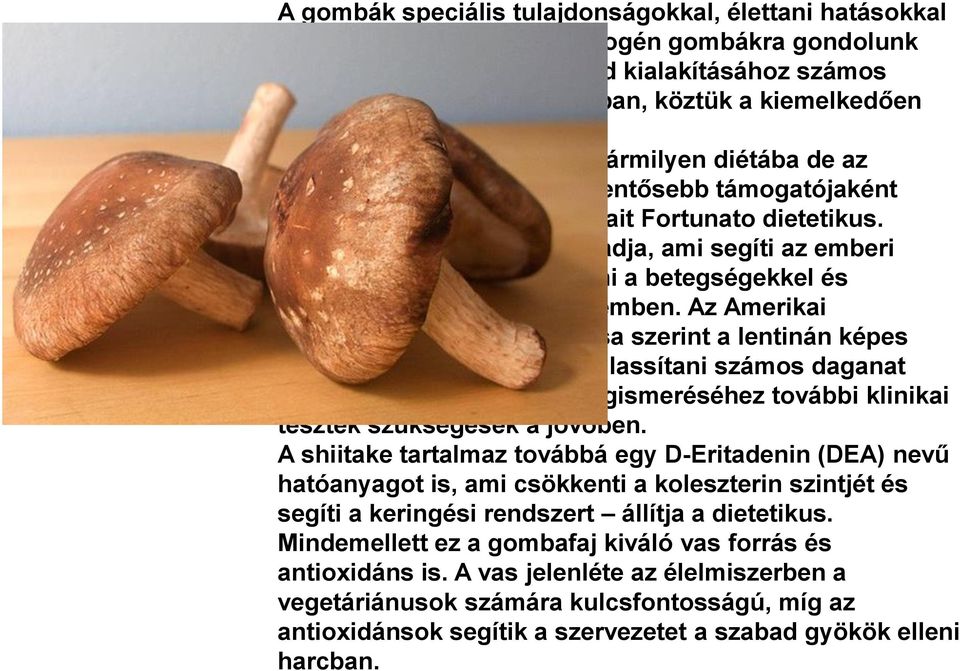 A shiitake jól beilleszthető bármilyen diétába de az immunrendszer egyik legjelentősebb támogatójaként ismert állítja az amerikai Kait Fortunato dietetikus.