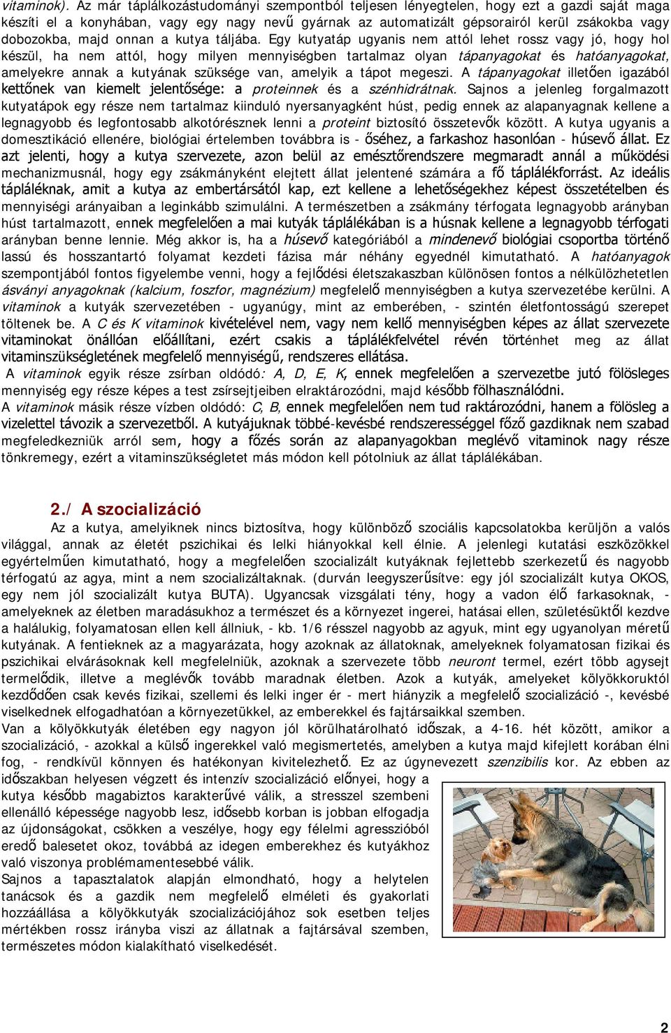 majd onnan a kutya táljába.