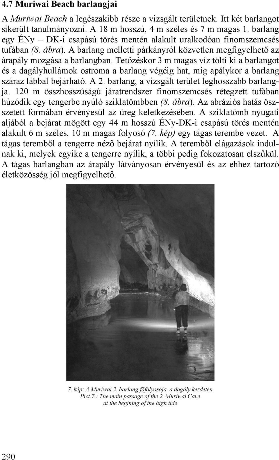 Tetőzéskor 3 m magas víz tölti ki a barlangot és a dagályhullámok ostroma a barlang végéig hat, míg apálykor a barlang száraz lábbal bejárható. A 2. barlang, a vizsgált terület leghosszabb barlangja.