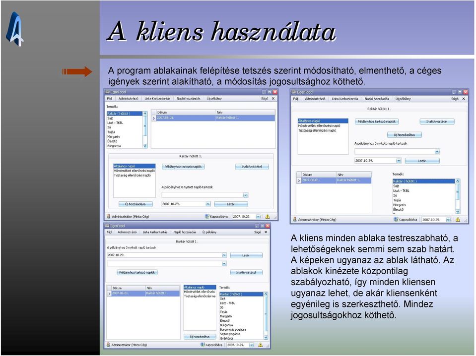 A kliens minden ablaka testreszabható, a lehetőségeknek semmi sem szab határt.