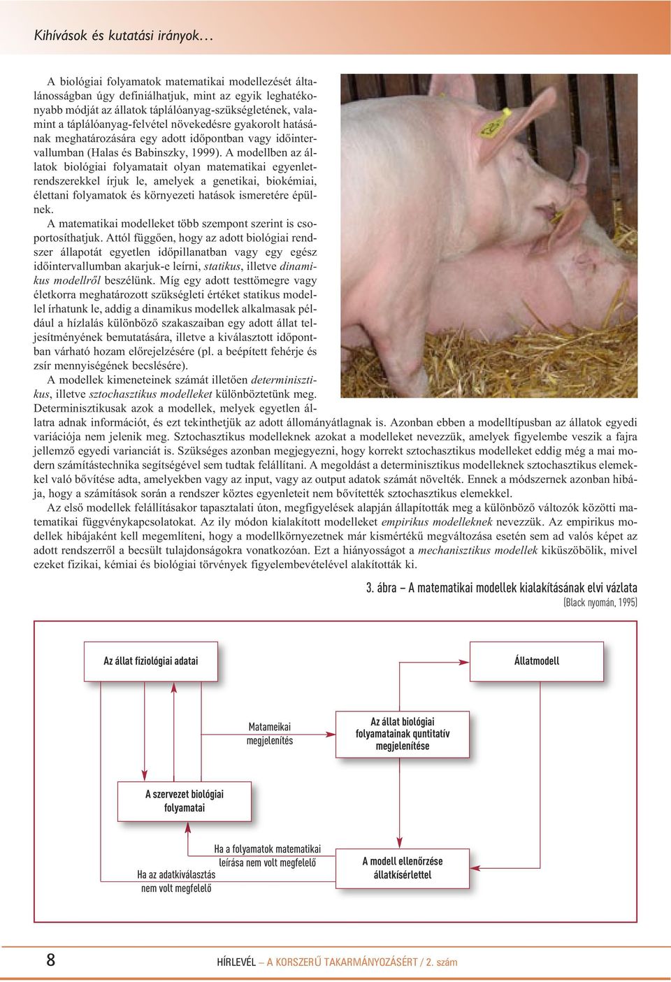 A mo dell ben az ál - la tok bio ló giai fo lya ma tait olyan ma te ma ti kai egyen let - rendszerekkel írjuk le, amelyek a genetikai, biokémiai, élet ta ni fo lya ma tok és kör nye ze ti ha tá sok