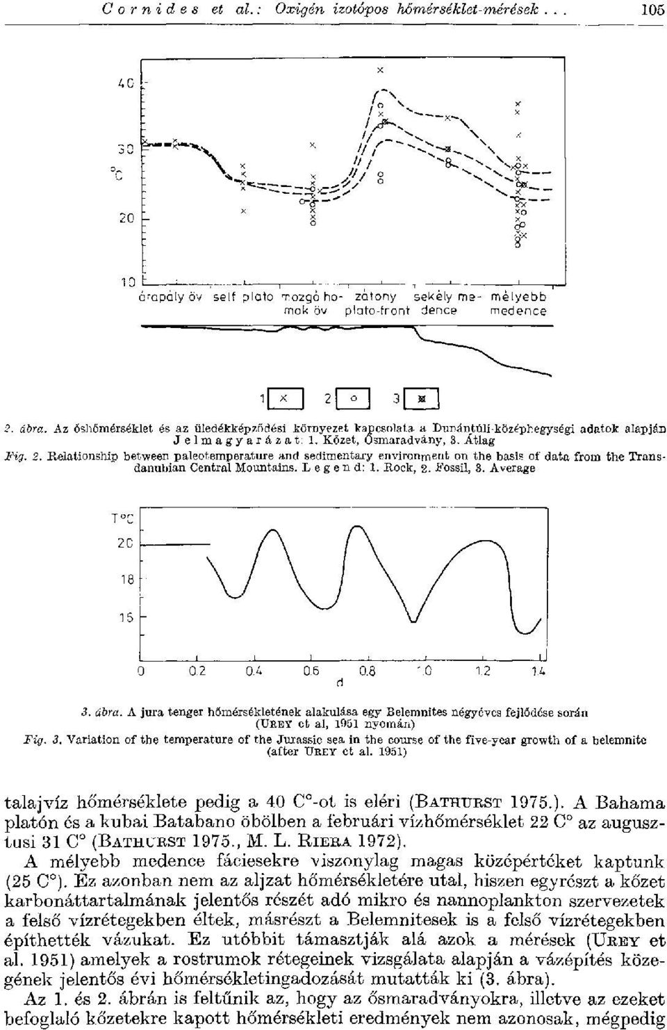 Average 3. ábra. A jura tenger hőmérsékletének alakulása egy Belemnites négyéves fejlődése során (TJREY et al, 1951 nyomán) Fig. 3. Variation of the temperature of the Jurassic sea in the course of the five-year growth of a belemnite (after ÜREY et al.