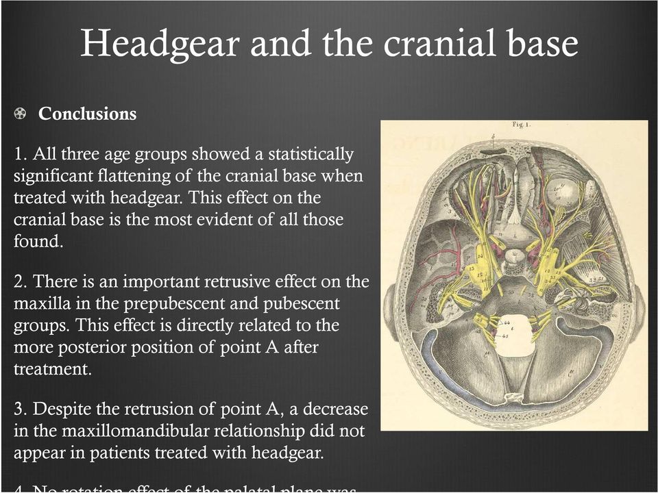 This effect on the cranial base is the most evident of all those found. 2.