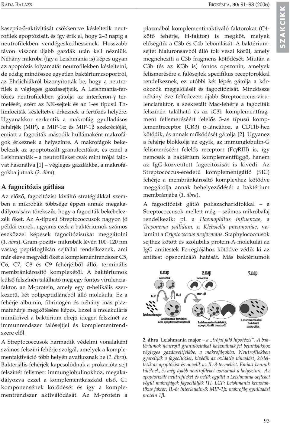 Néhány mikroba (így a Leishmania is) képes ugyan az apoptózis folyamatát neutrofilekben késleltetni, de eddig mindössze egyetlen baktériumcsoportról, az Ehrlichiákról bizonyították be, hogy a