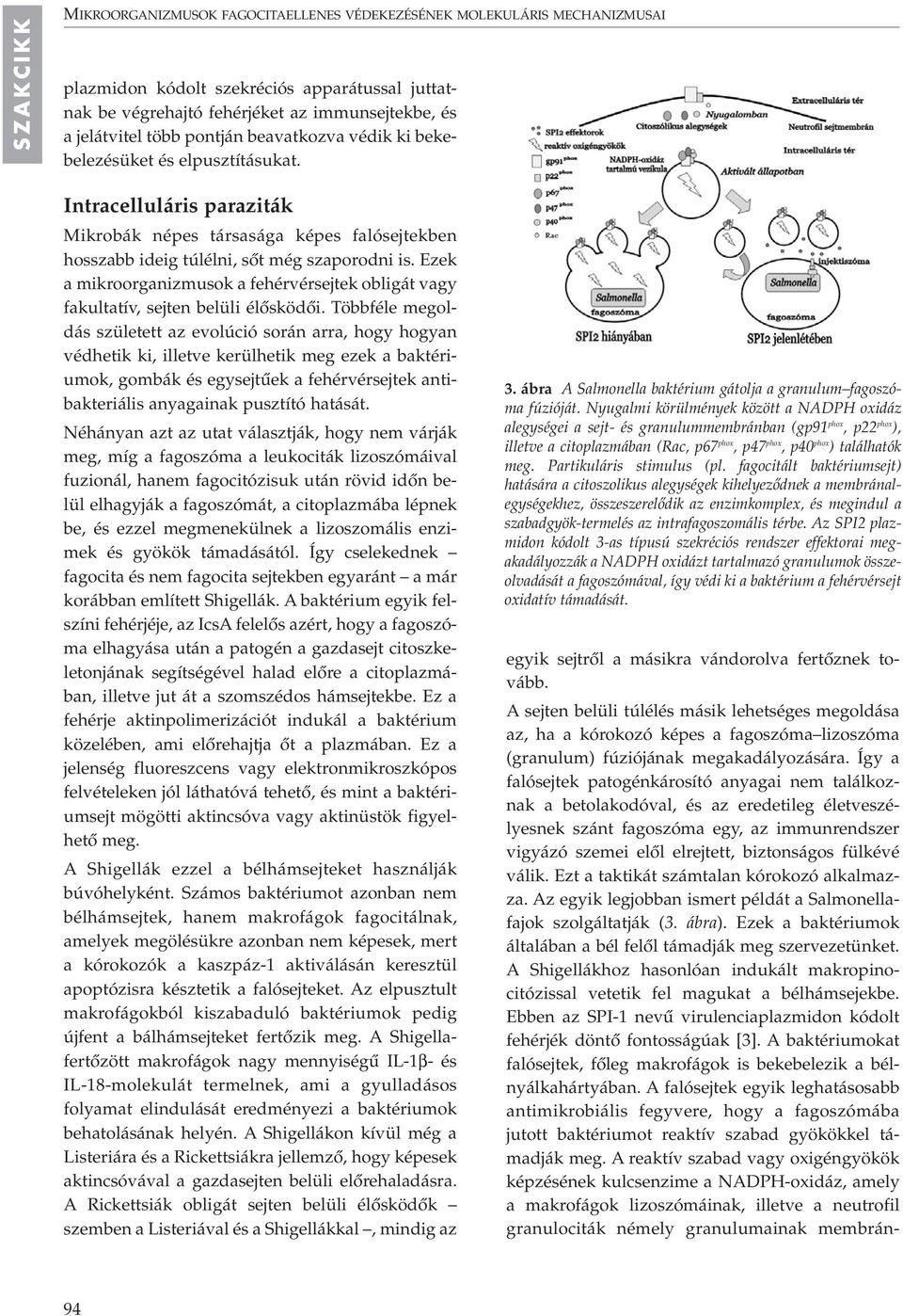 Ezek a mikroorganizmusok a fehérvérsejtek obligát vagy fakultatív, sejten belüli élôsködôi.