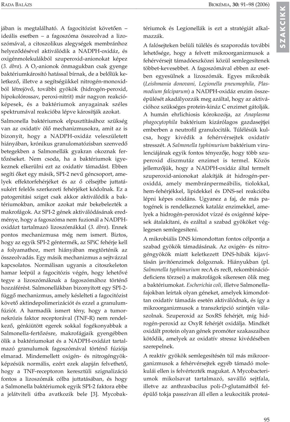 szuperoxid-anionokat képez (3. ábra).