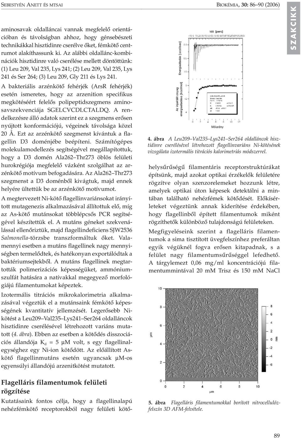 A bakteriális arzénkötô fehérjék (ArsR fehérjék) esetén ismeretes, hogy az arzenition specifikus megkötéséért felelôs polipeptidszegmens aminosavszekvenciája SGELCVCDLCTALDQ.